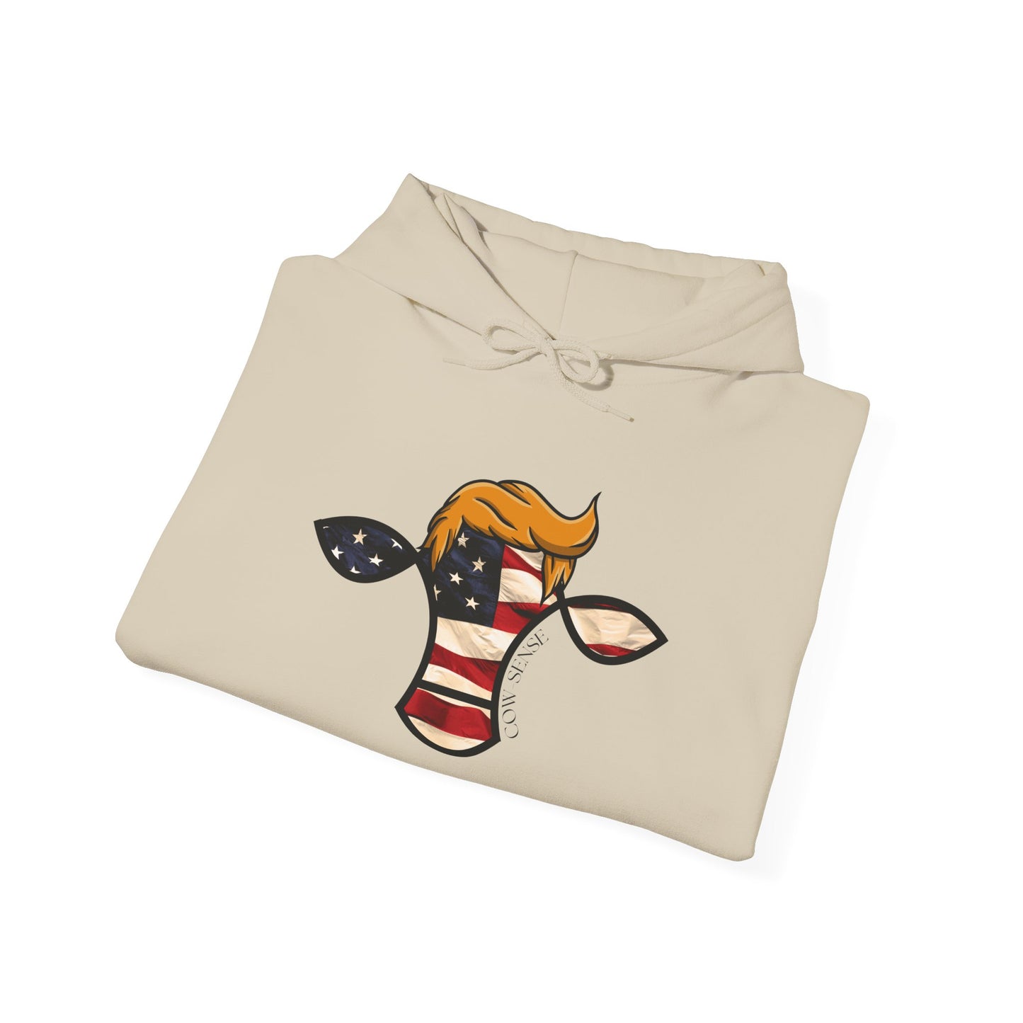 2024 Patriotic Hoodie